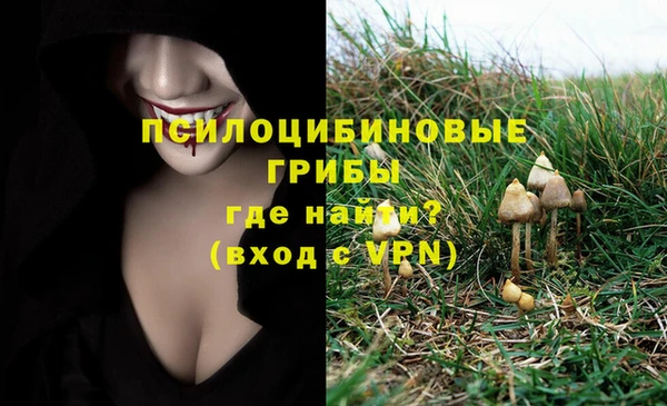 спайс Армянск