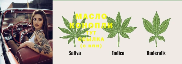 прущие крисы Аркадак