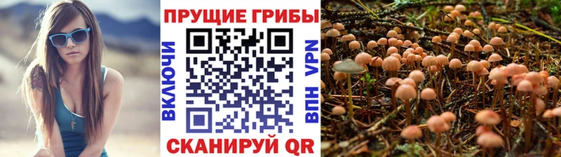купить  сайты  mega зеркало  Галлюциногенные грибы MAGIC MUSHROOMS  Райчихинск 