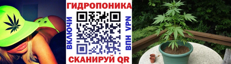 МАРИХУАНА конопля  где найти   Райчихинск 